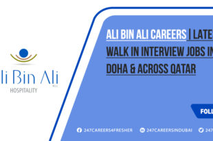 Ali Bin Ali Careers