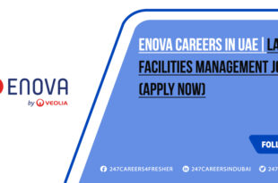 Enova Careers