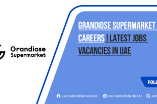 Grandiose Supermarket Careers