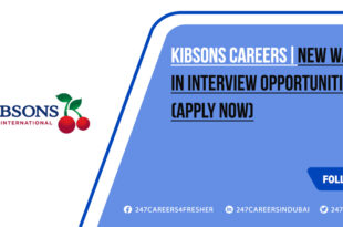 Kibsons Careers