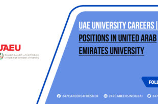 UAE University Careers