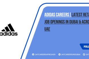 Adidas Careers