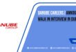 Danube Careers