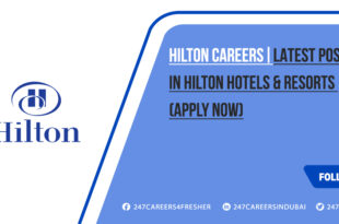 Hilton Careers