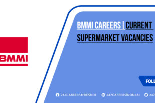 BMMI Careers