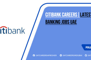 Citibank Careers